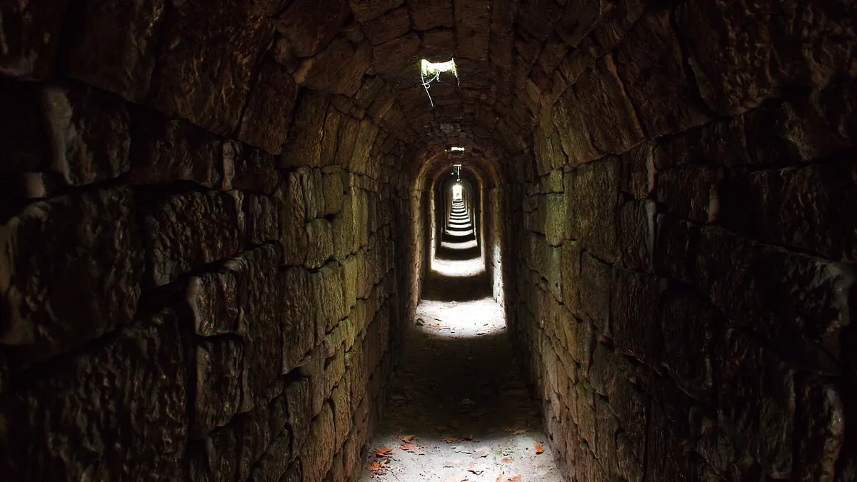 Can Clogged Gutters Cause Basement Damp? What Homeowners Should Check — basements & foundations repair and waterproofing guidance