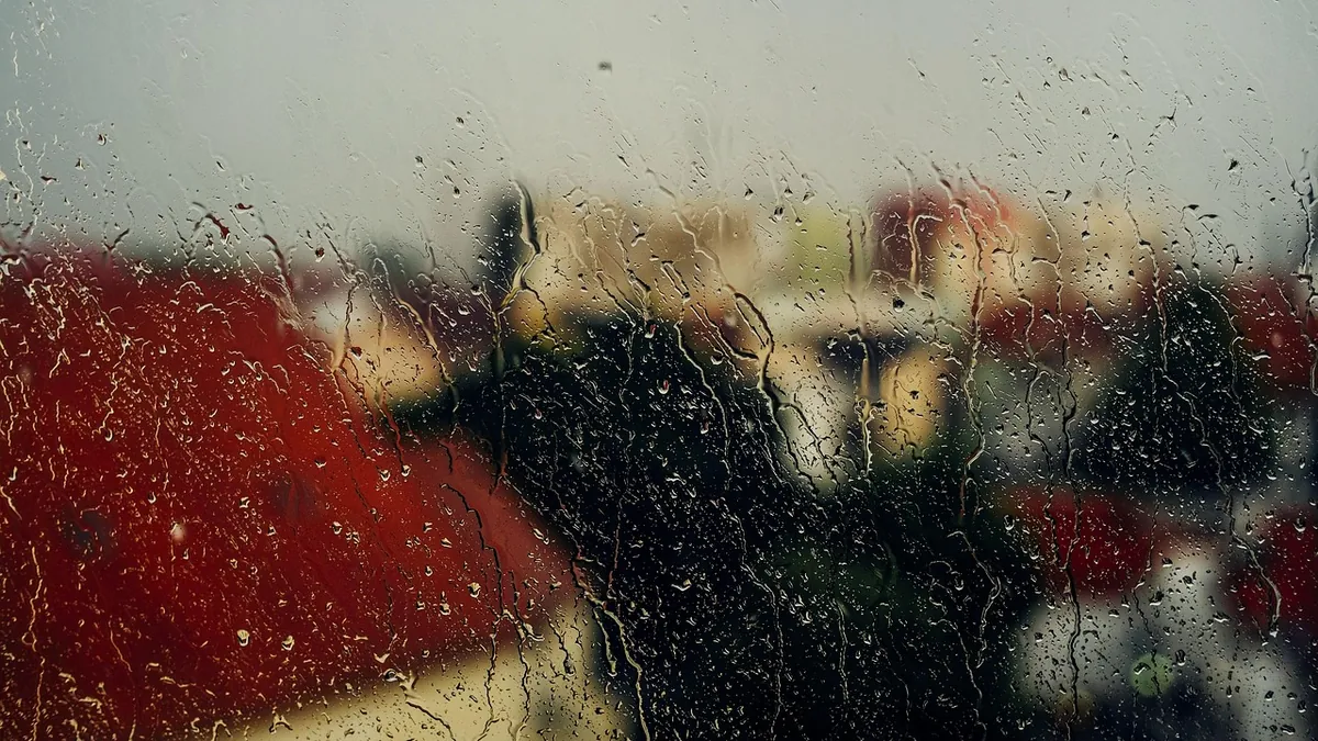 Condensation on Basement Walls in Summer: Leak or Humidity Problem? — seasonal prevention repair and waterproofing guidance