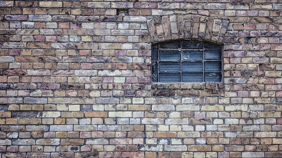 Damp Patch on Wall After Rain: Exterior Clues to Check First — windows, doors & walls repair and waterproofing guidance
