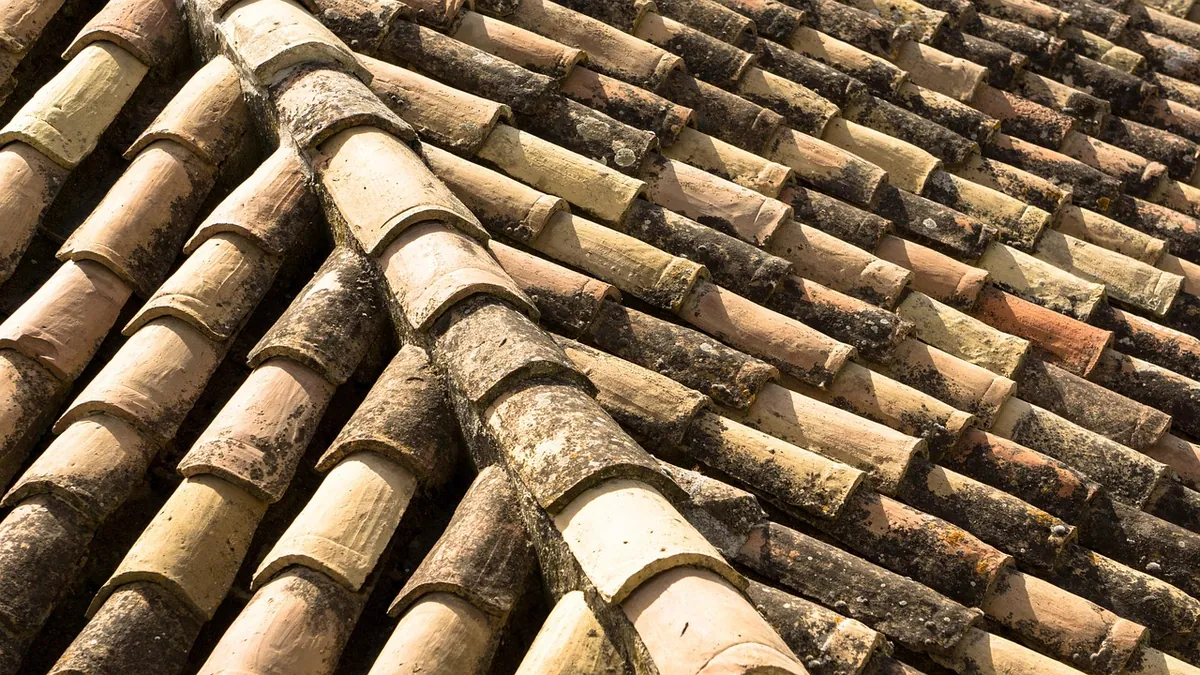Flat Roof Drainage Problems: Blocked Outlets, Incorrect Falls and Overflow Routes — flat roof leaks repair and waterproofing guidance