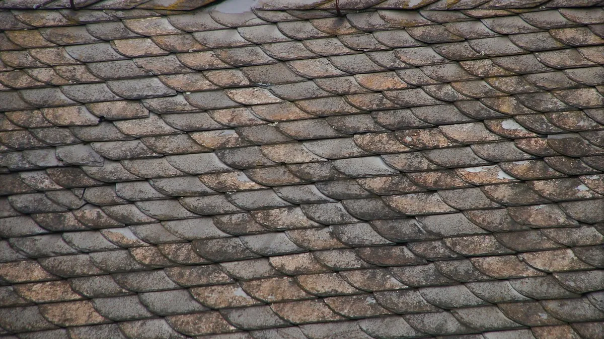 Flat Roof Maintenance Checklist: What to Inspect Every Spring and Autumn — seasonal prevention repair and waterproofing guidance