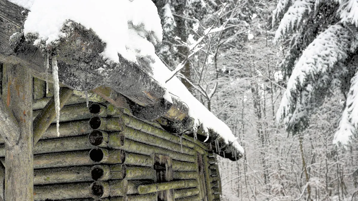 Gutter Cleaning Schedule for Rainy European Climates — seasonal prevention repair and waterproofing guidance