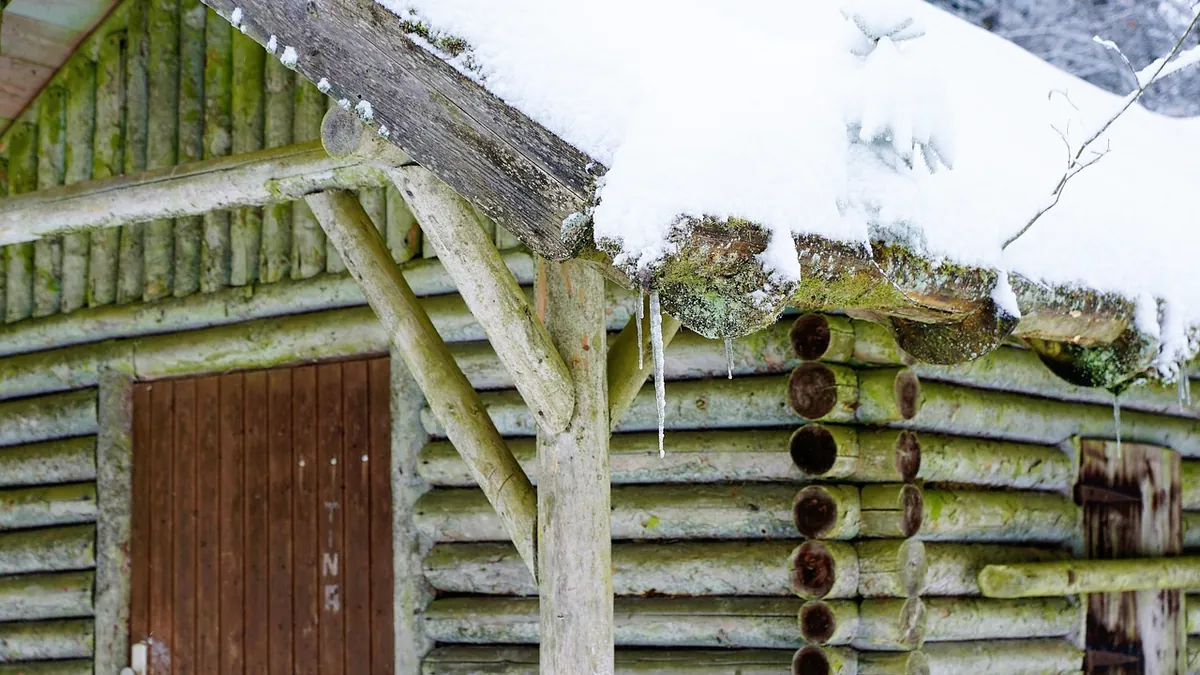 Low-Cost Leak Prevention Fixes That Have the Biggest Impact — seasonal prevention repair and waterproofing guidance